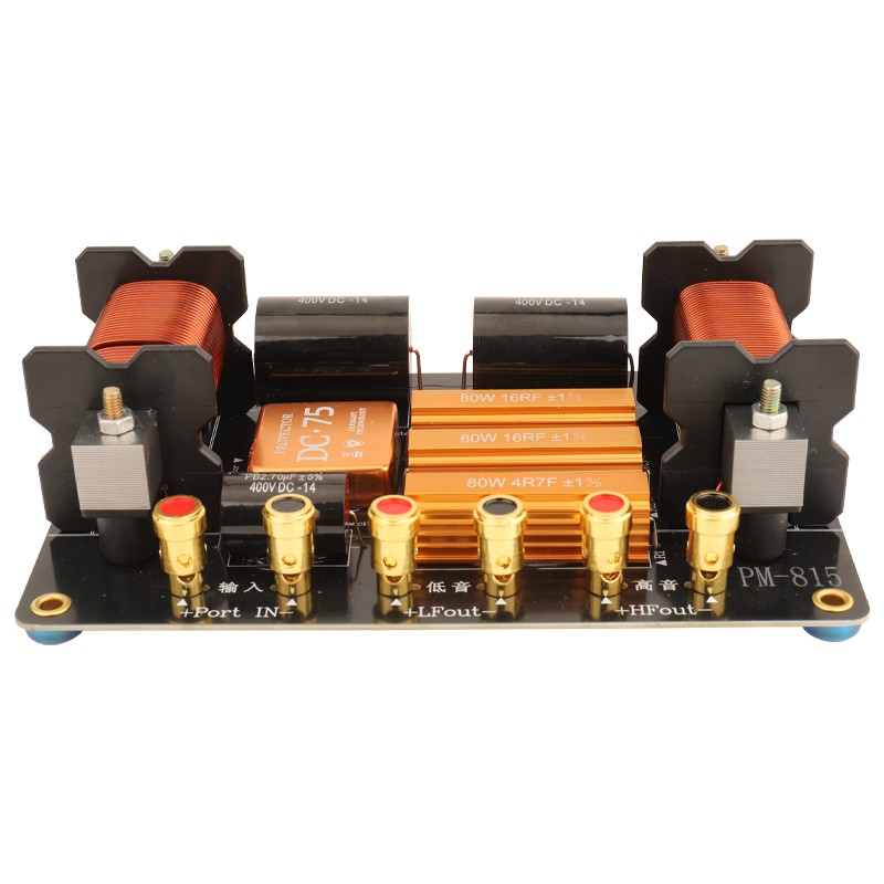 PM-815