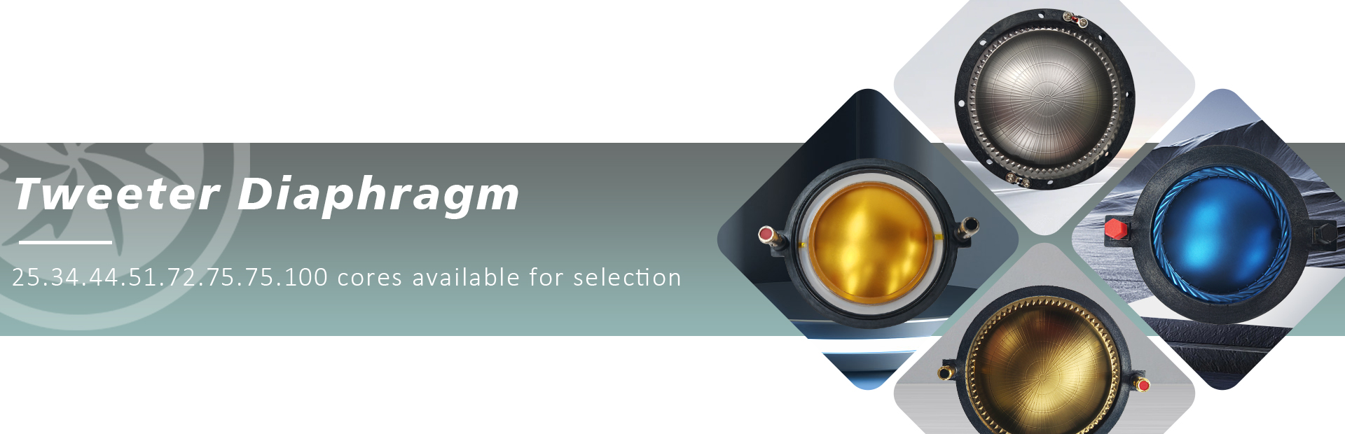Tweeter Diaphragm